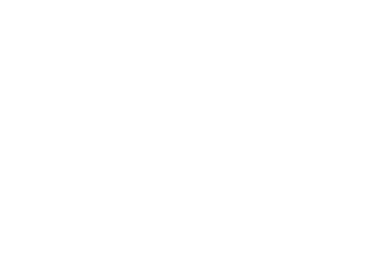 Virtuoso Bears USA Company Logo