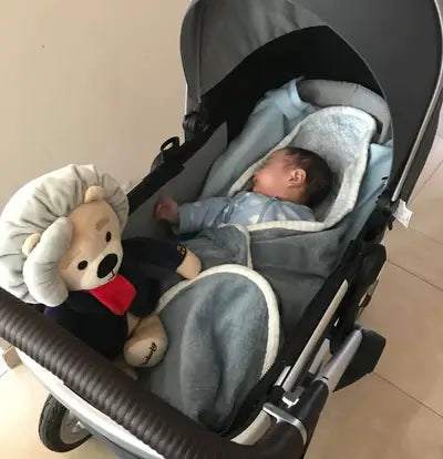 Ludwig van Beethoven Classical Music Toy Reviews 1