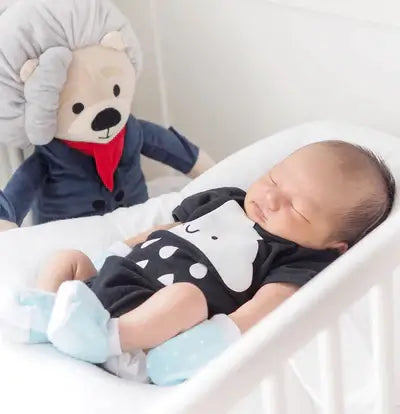 Ludwig van Beethoven Classical Music Toy Reviews