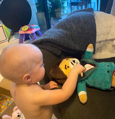 Virtuoso Bears USA Reviews and Testimonials